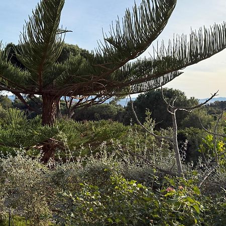 Villa Carpe Diem Le Lavandou Kültér fotó