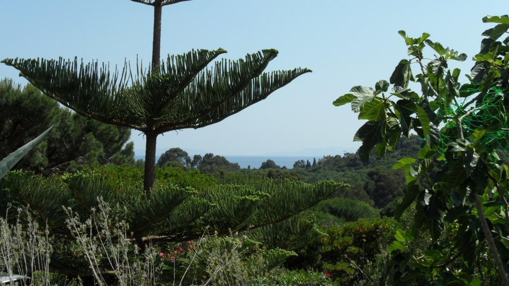 Villa Carpe Diem Le Lavandou Szoba fotó