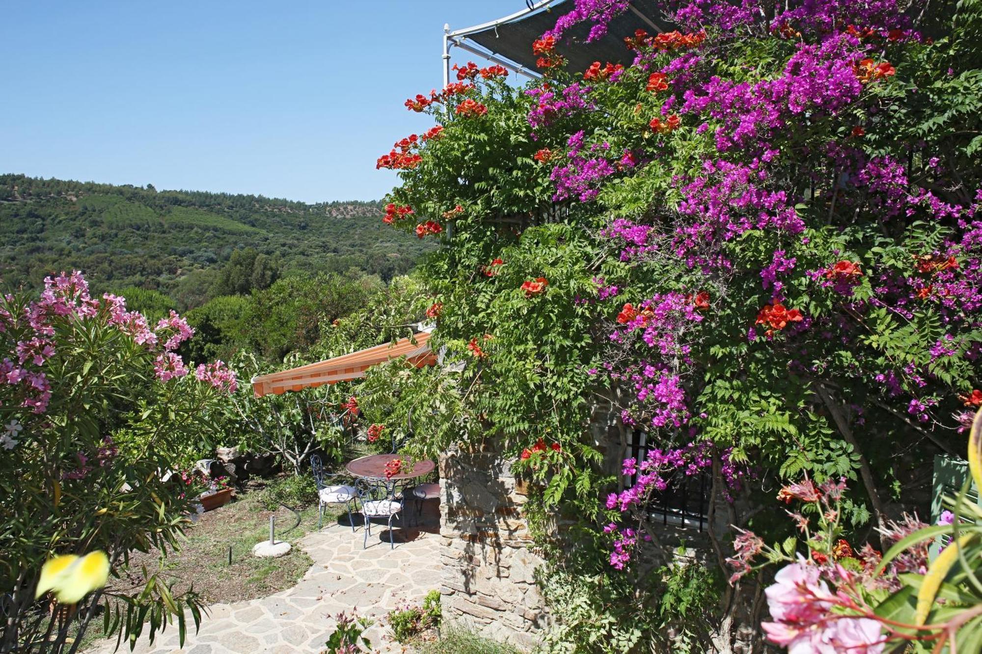 Villa Carpe Diem Le Lavandou Kültér fotó