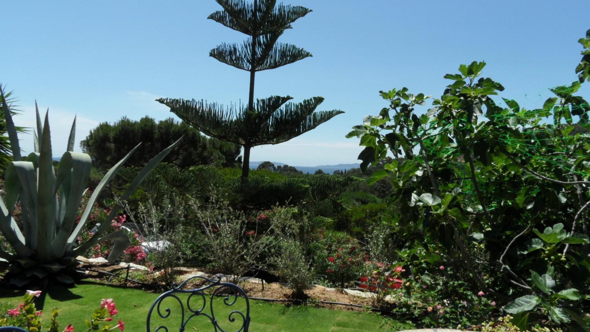 Villa Carpe Diem Le Lavandou Kültér fotó